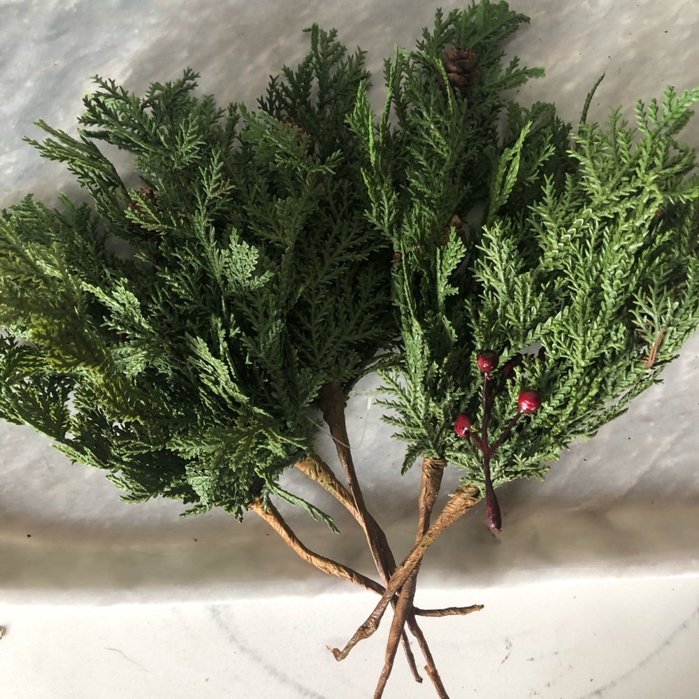 Bundle of pine stems. Set of 5.